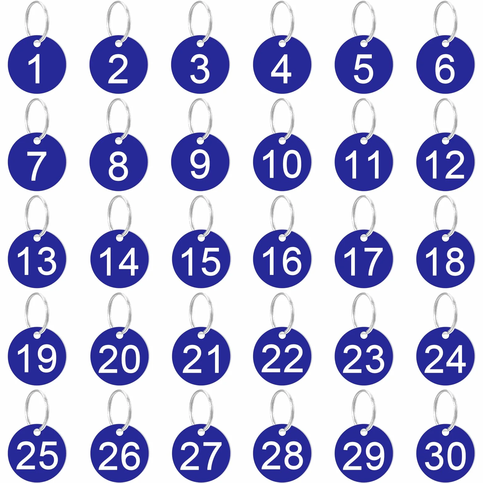 TIESOME Zestaw 30 sztuk, 1-30 etykiet z cyframi z tworzywa sztucznego, z kółkami na klucze, znaczniki do garderoby, bilety wstępu, numerowane breloczki do kluczy, do domu, do szafek (niebieskie)